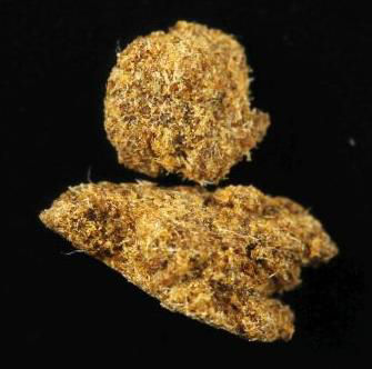 Todesgefahr - Warnung vor Cannabis mit synthetischen Cannabinoiden