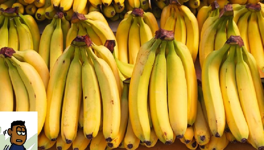 bananen-284053415-Kopie-650x371-1-90103