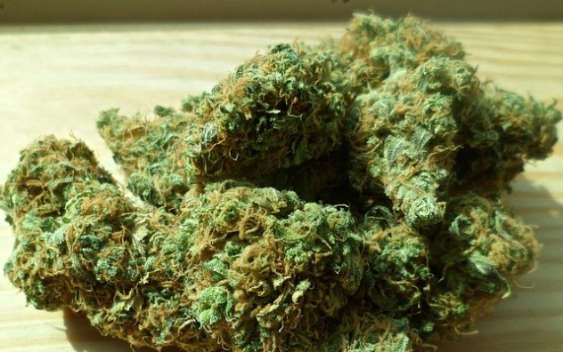 cannabis-448661_640