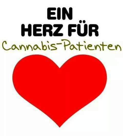 cannabis patienten