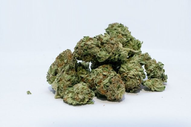 Mann erstickt an Tütchen mit Marihuana auf Festival