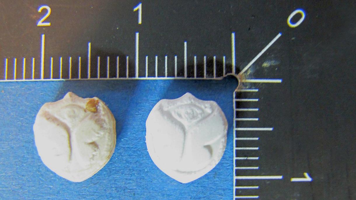 neues-gefhrliches-ecstasy-ist-in-deutschland-derzeit-im-umlauf-body-image-1487780144