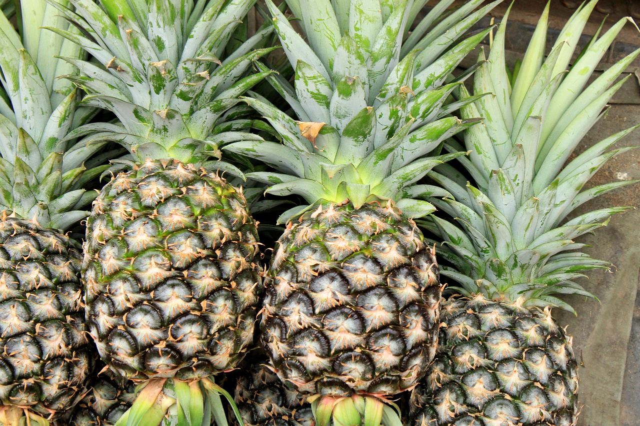 745 Kilogramm Kokain in einer Ladung Ananas sichergestellt - Symbolbild