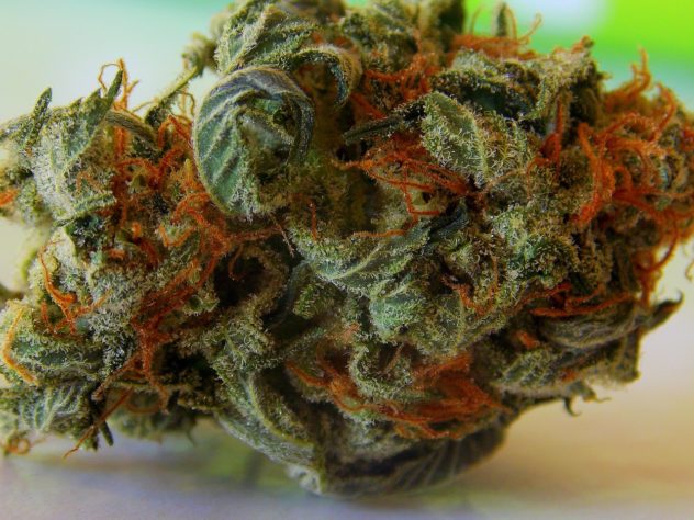 Dealer versteckt Marihuana in Streifenwagen