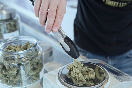 Legalisierung von Cannabis – wann ist es endlich so weit?